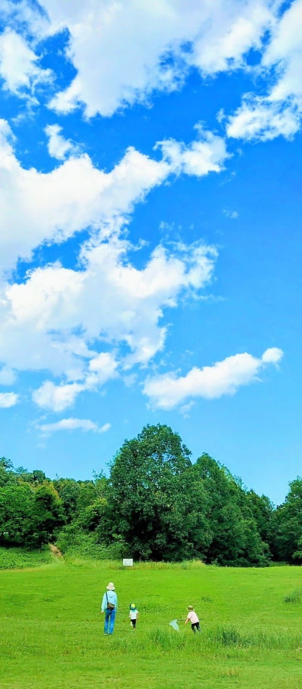 カウンセラー長谷川さんの写真2