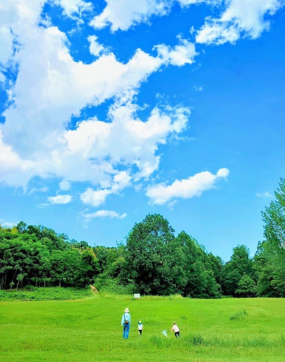 カウンセラー長谷川さんの写真2